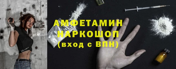 молекула духа Алексеевка