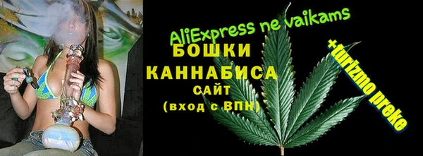 молекула духа Алексеевка