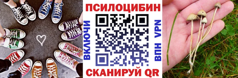 Галлюциногенные грибы MAGIC MUSHROOMS  Жуковский 