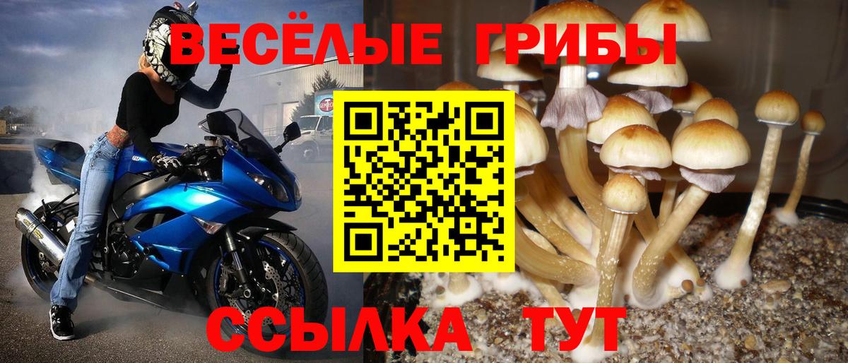 MDMA  Гашиш  Мефедрон кристаллы  Марихуана  Вход с VPN  Жуковский  Меф МЯУ МЯУ 