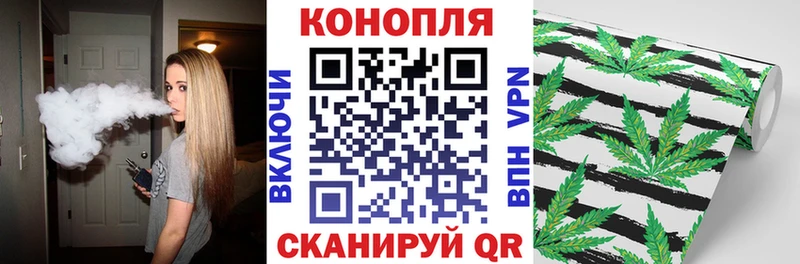 Каннабис индика  Жуковский 